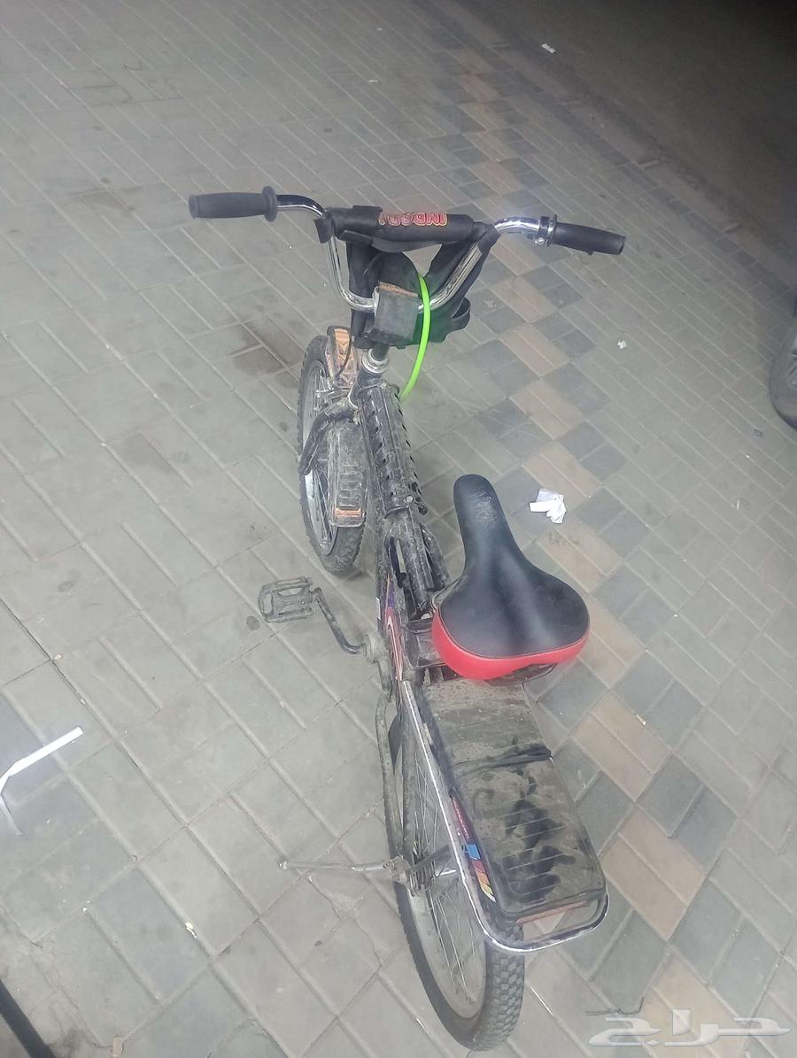 Cyclone Rambo64493029475203111