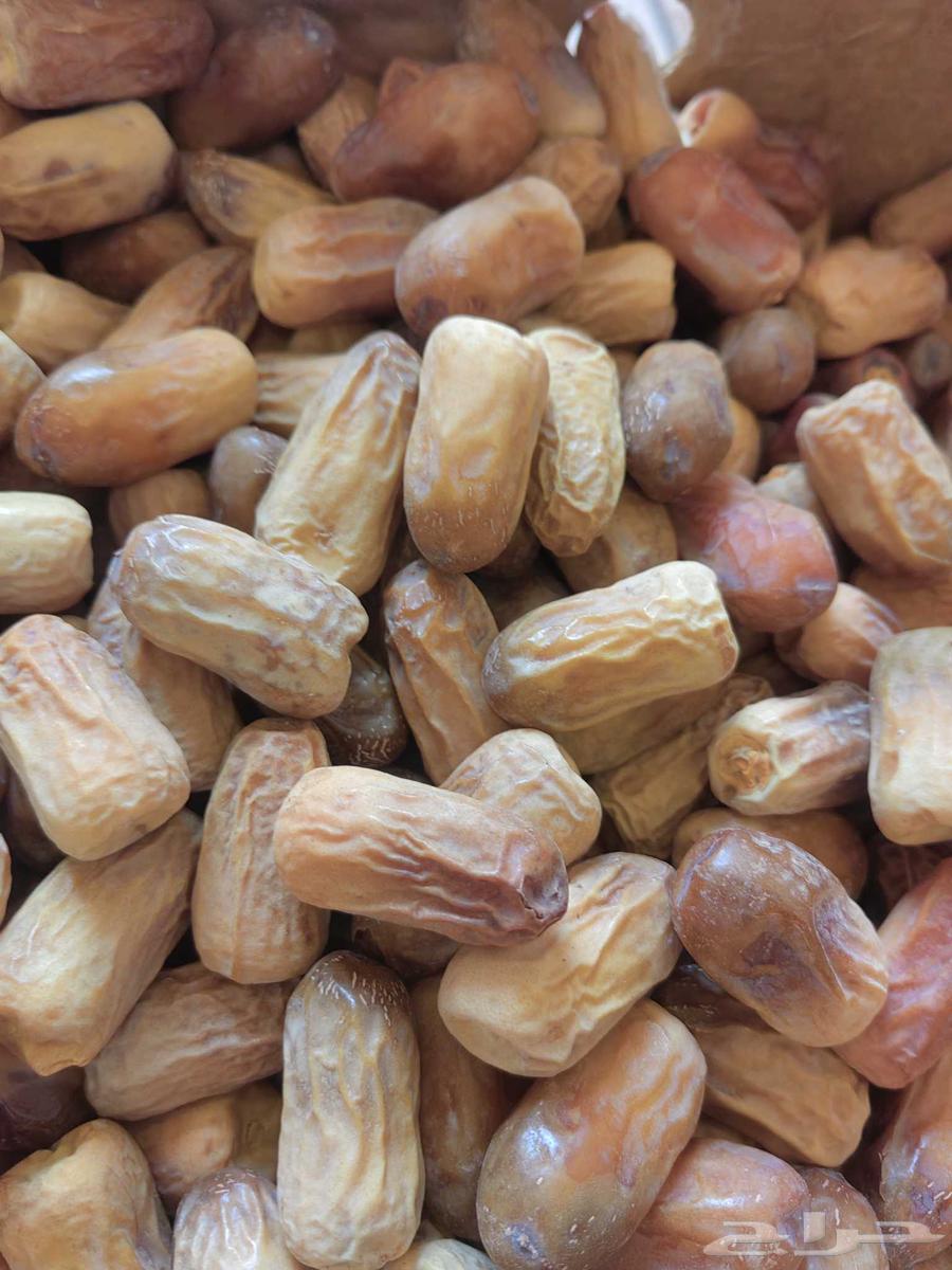 Zero Qasb Dates64489239253889111