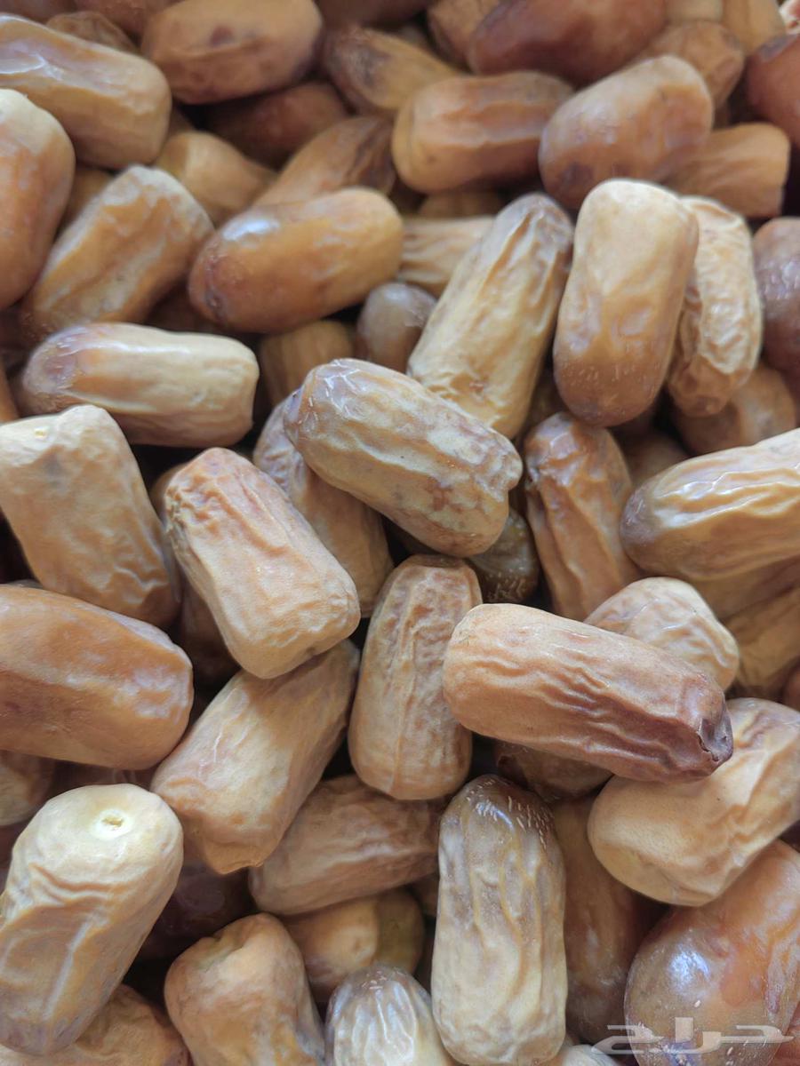 Zero Qasb Dates64489239253889110