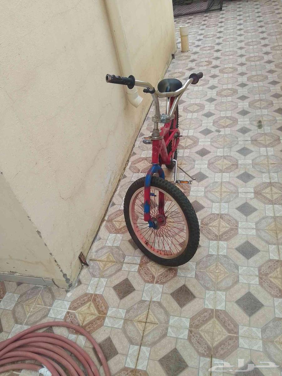 Cyclone Cobra64493660630274110