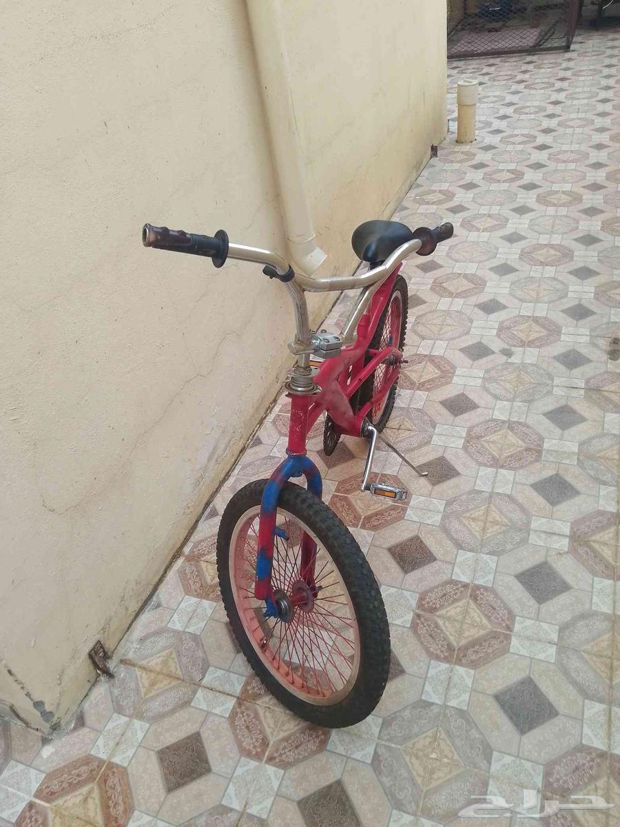 Cyclone Cobra64493660630274111