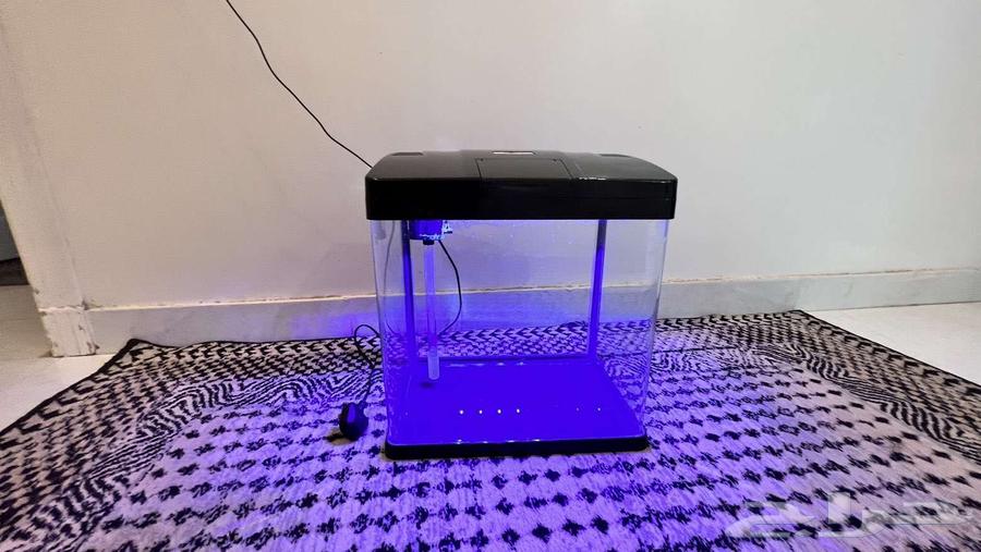 حوظ سمك للبيع ل اعلى سوم64493989474817111