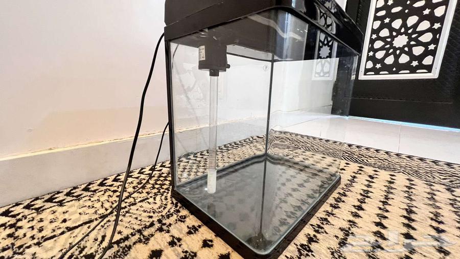 حوظ سمك للبيع ل اعلى سوم64493989474817113