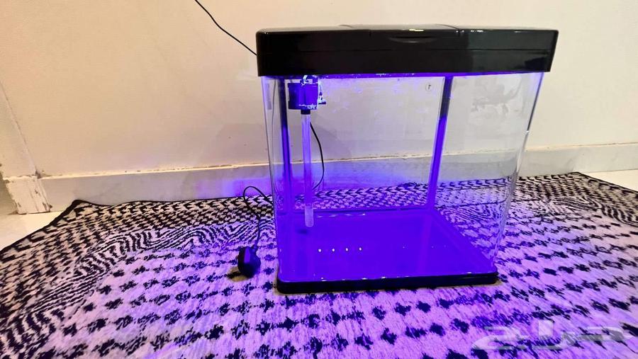 حوظ سمك للبيع ل اعلى سوم64493989474817110