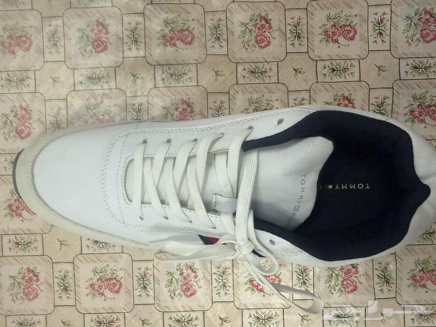 حذاء تومي هيلفيجر64493628879618114