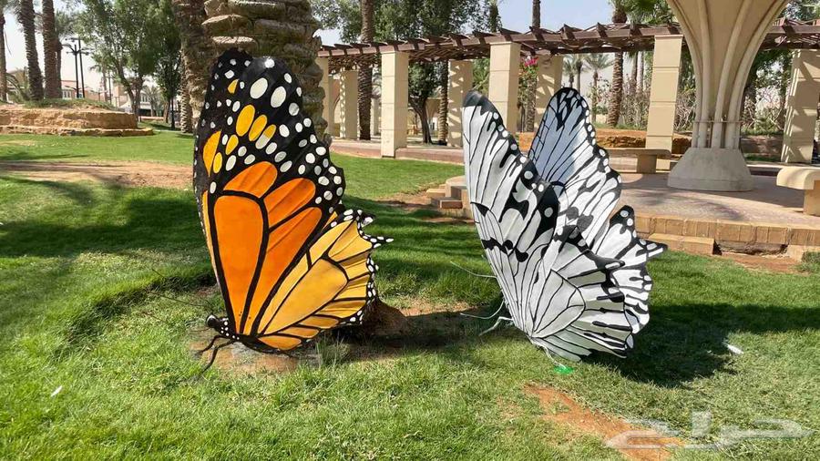 Butterflies64494359474562110