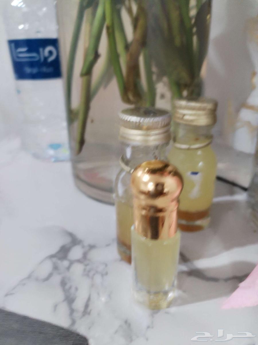 بيلسان البشام الجبلي64494112841985111