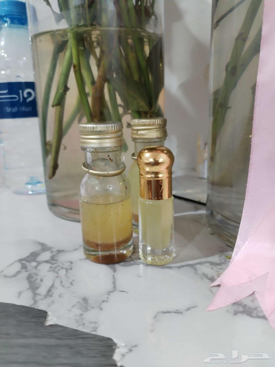 بيلسان البشام الجبلي64494112841985112