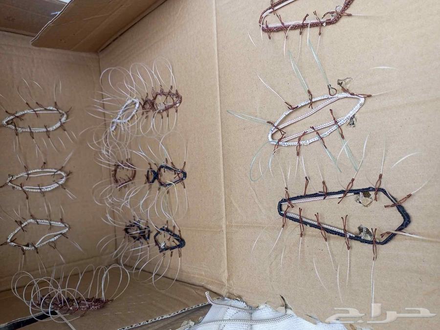 Hawk Trapping Net64494618621057110