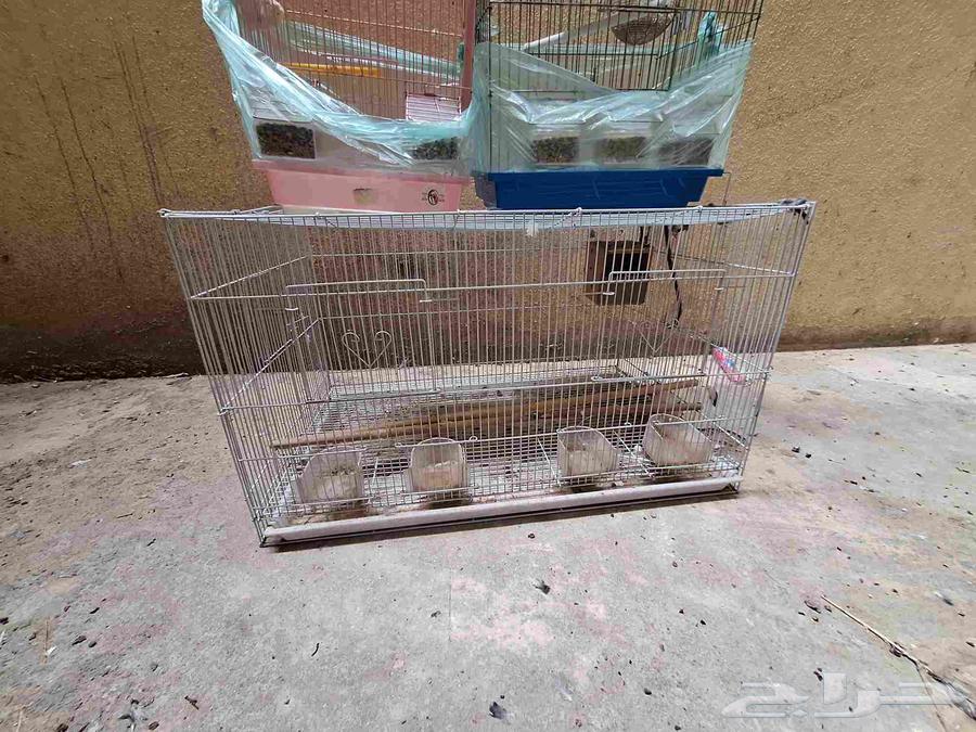 Bird cages64488243118339111