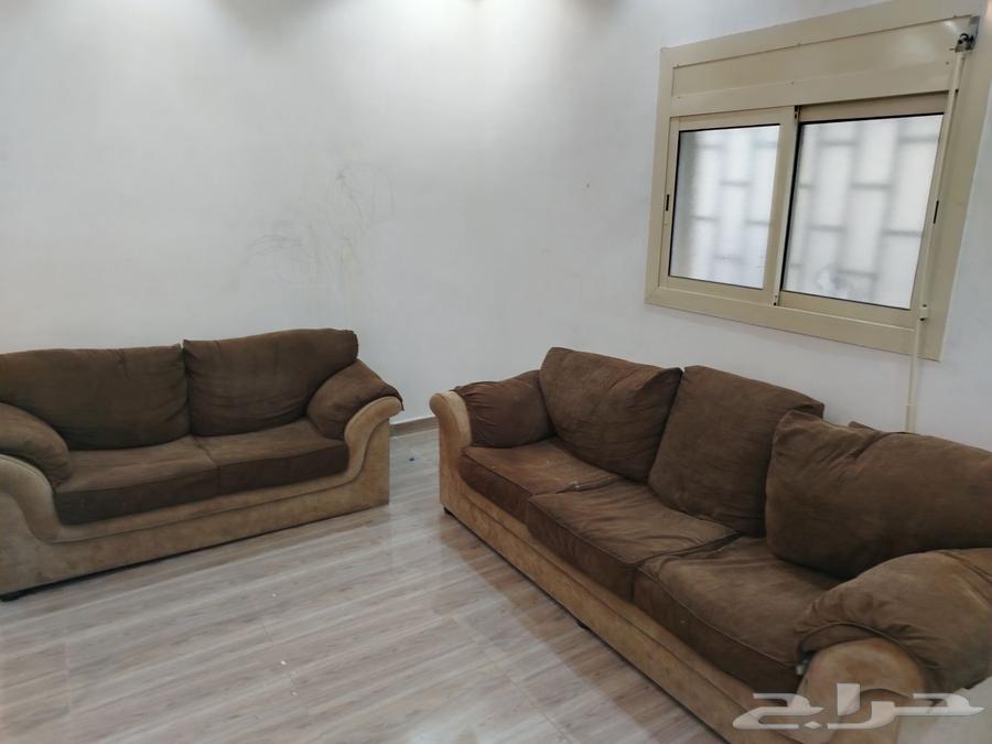 كنبتين للبيع مستعجل64490495964674114