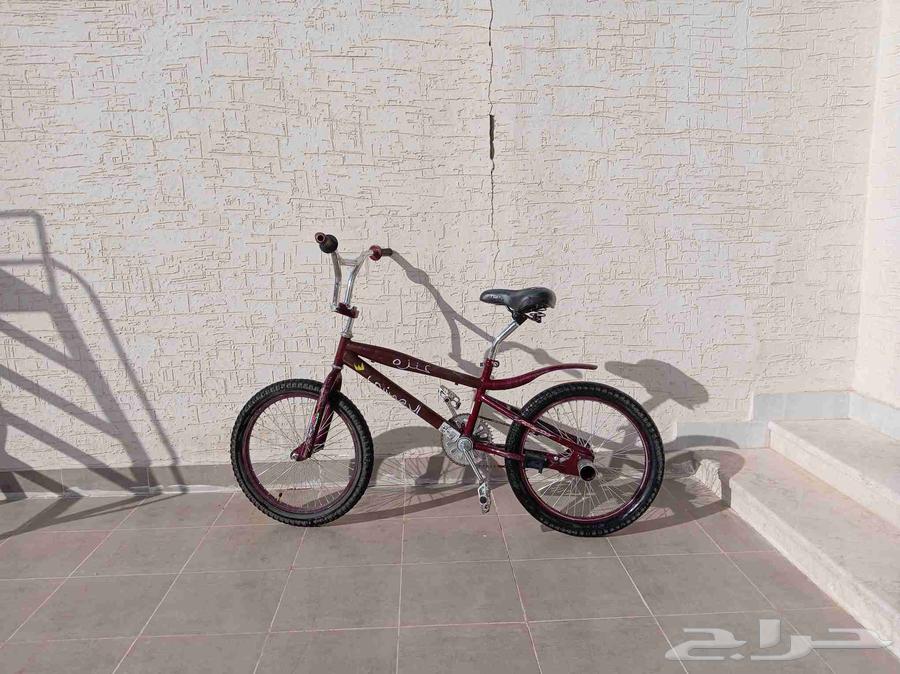 سيكل كوبرا مقاس 20 نضيف على الشرط64490796367489110