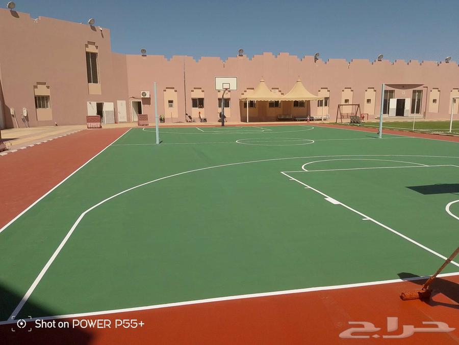 دهان تبوك لجميع انواع الدهانات والابوكسي64525621607425110