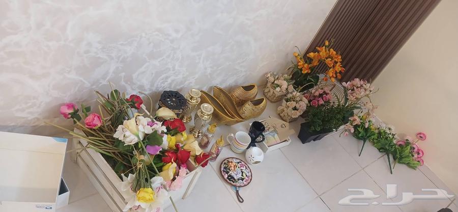 للبيع كتب مستعملة اكسسورات بيت رواترين فايبر موبيلي64488989783809110