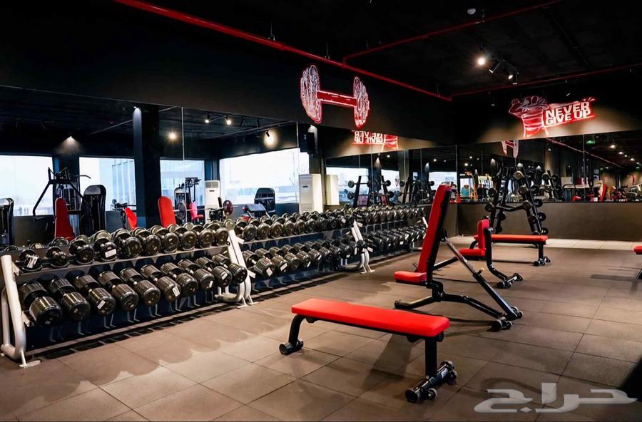 عضوية جيم لمدة 6 شهور مخفضة (بيسك فيتنس جيم)64488408214530110