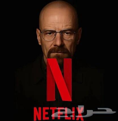 Shahid_Netflix_OSN_YouTube_Premium_Canva_Pro64491170689025111