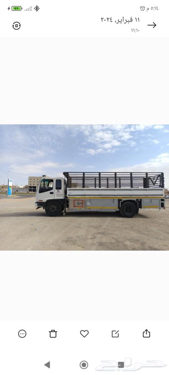 دينه لوري لنقل العفش والبضائع أنحاء المملكة64431264859265110