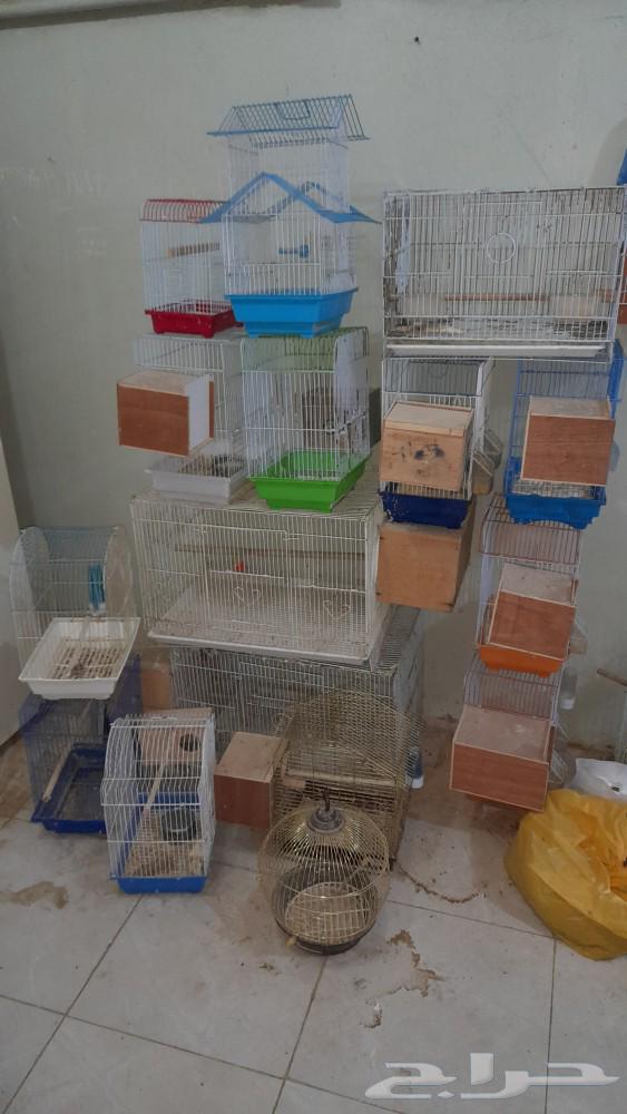 للبيع اقفاص مستعمله نظيفة64486606669570110