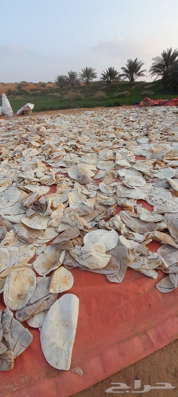 خبز يابس مكسر للحلال64489696820994111