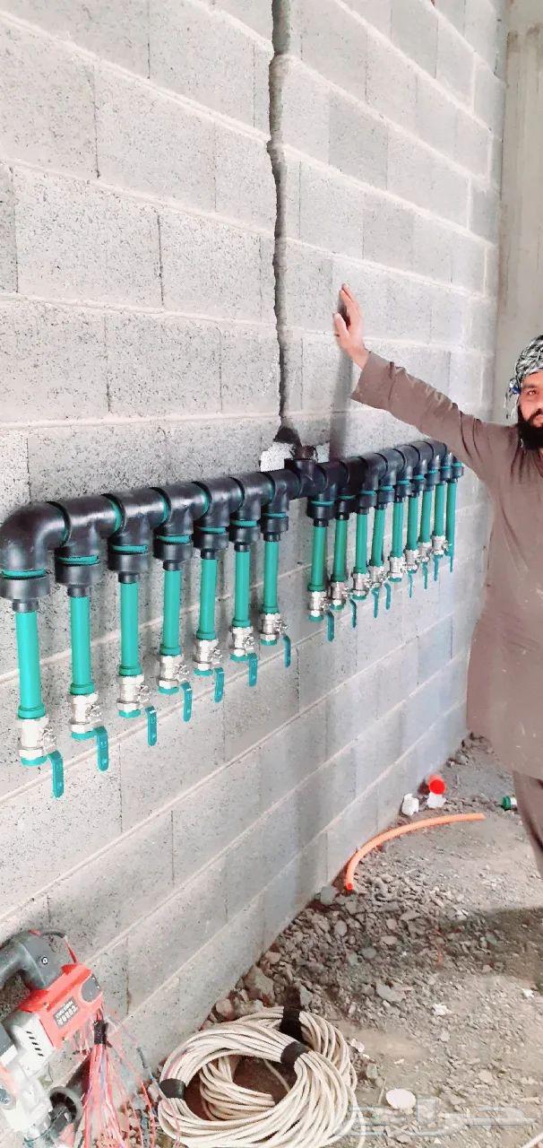 Pakistani plumber (plumbing work, regular thermal plumbing, hidden suspended, electric tiles)64147436128514110
