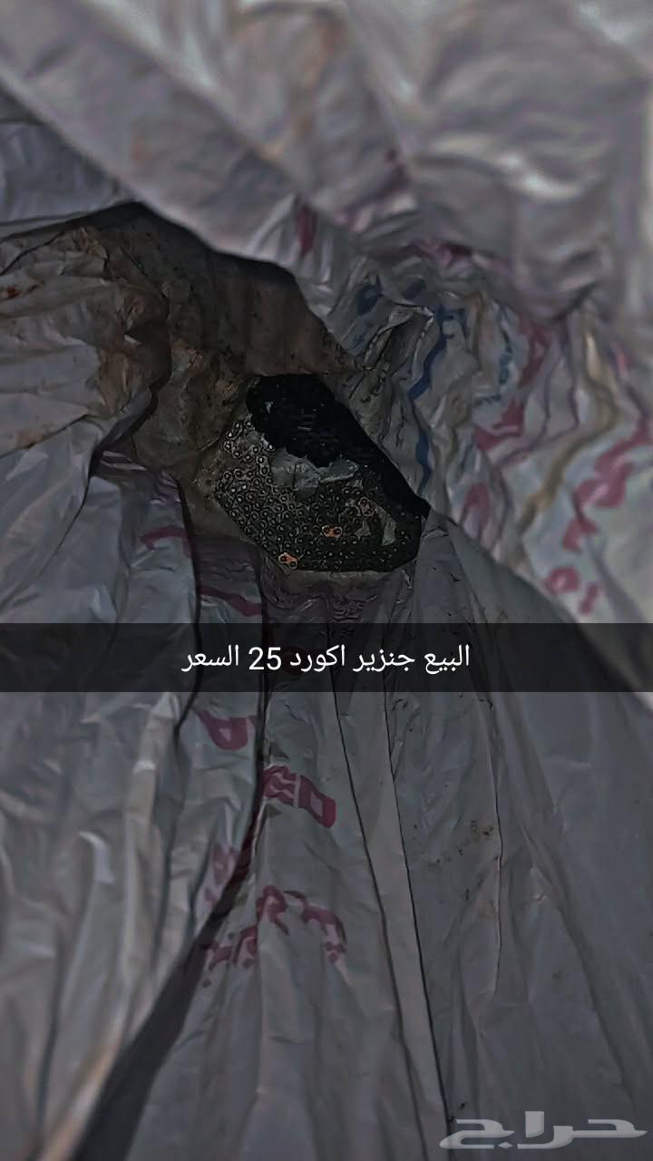 The Party64486938157185110