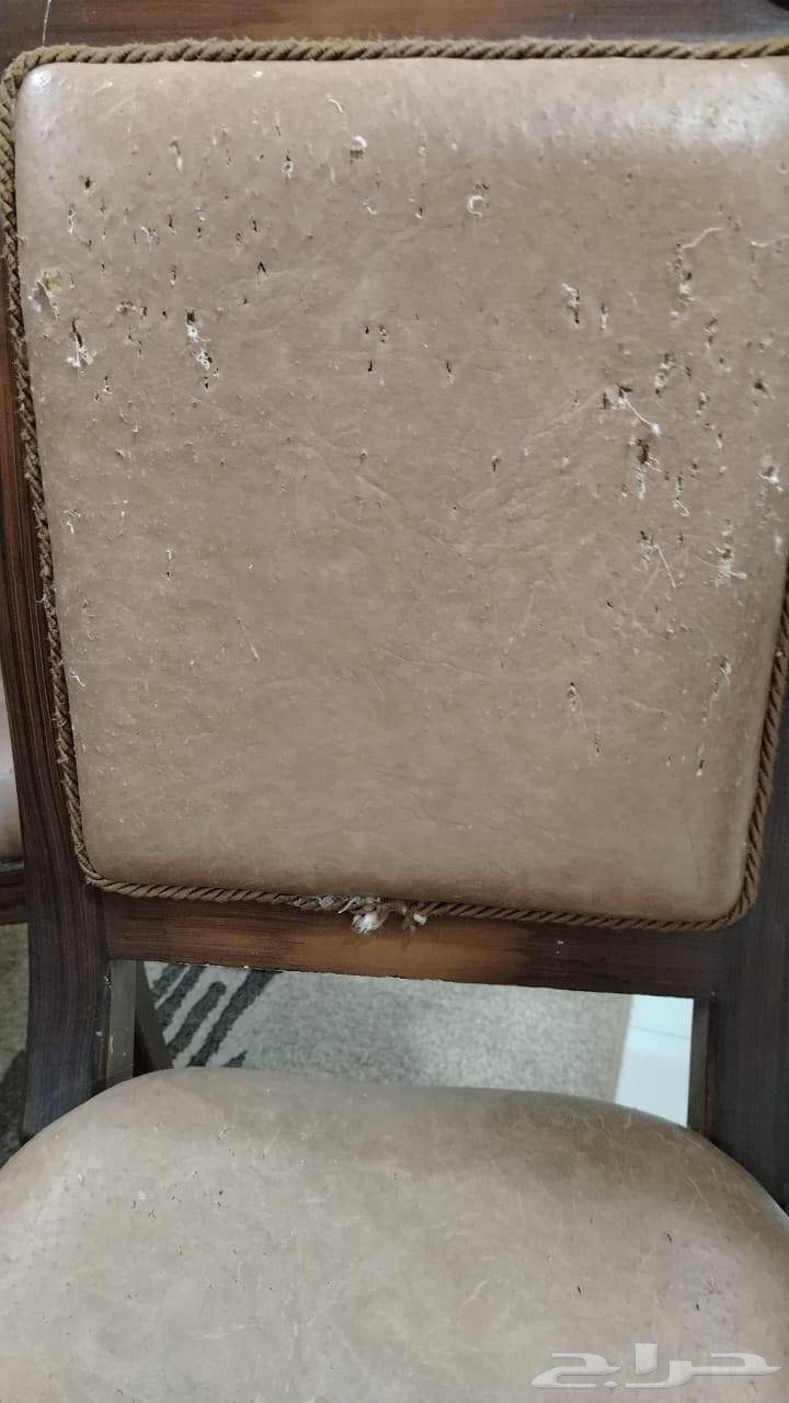 طاولة طعام كبيره للبيع64491714265987114