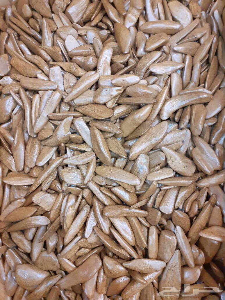 عروض اليوم الوطني على العود الطيب64489489023361112