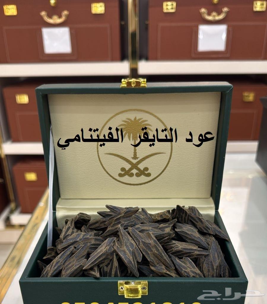 The Blue Oud and Tayger Oud64487168986241111