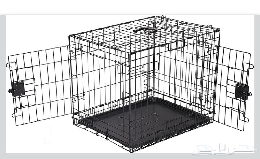 للبيع كلبة من نوع بوميرانين pomeranian64491673663234114