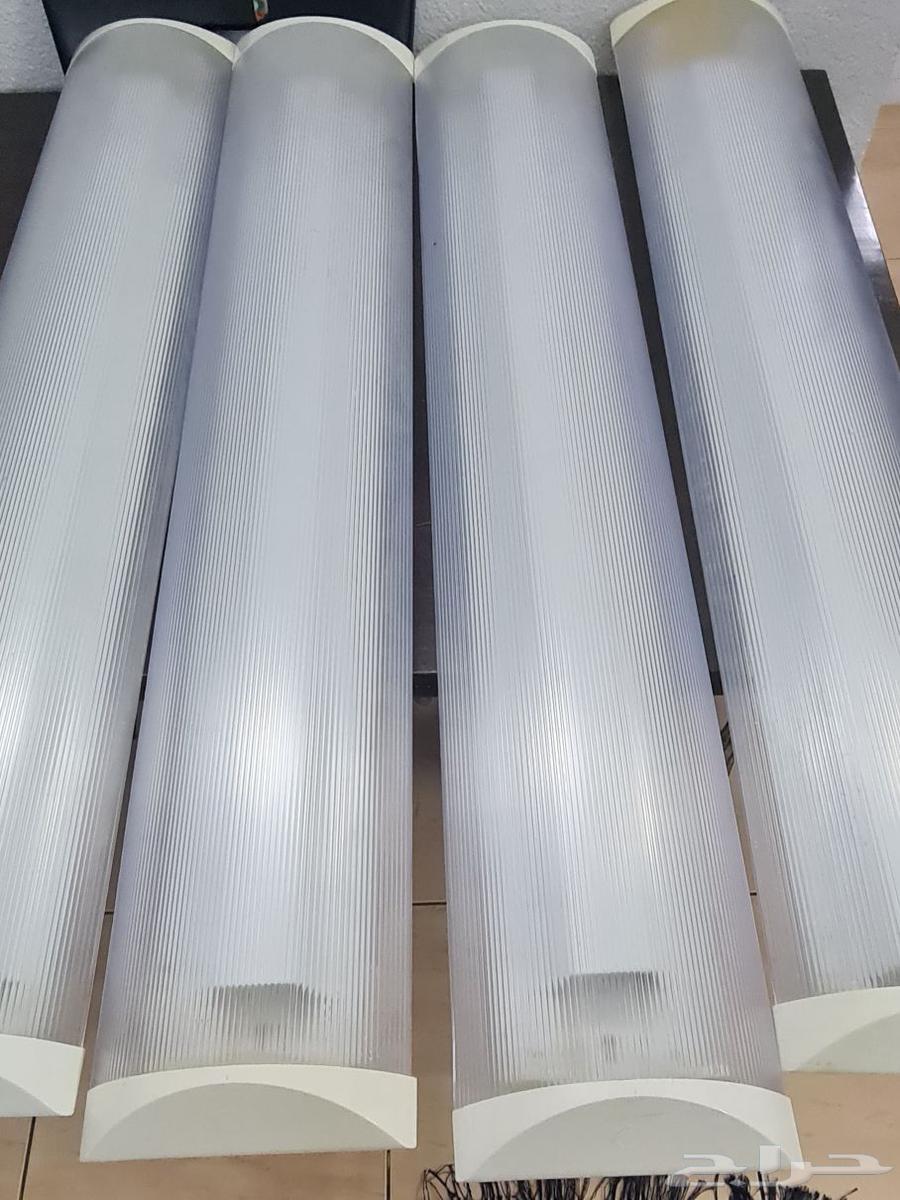 اضاءة لمبات نيون64493300455681110