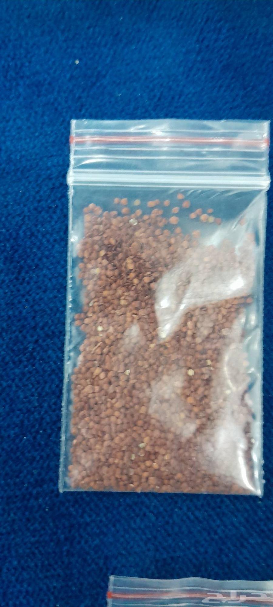 تربة زراعية لنباتات المائية و احواض السمك مع بذور نباتات ماء64478526172035114