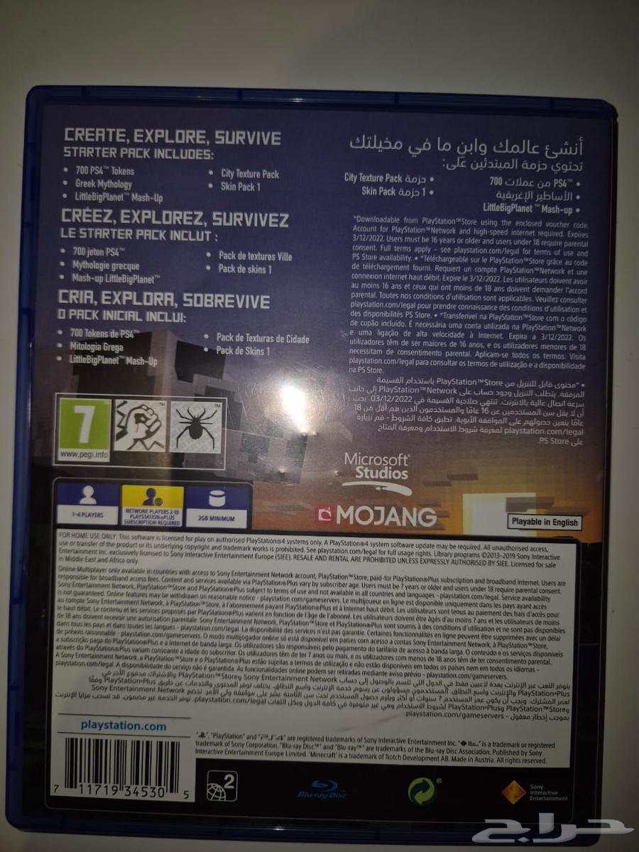 Minecraft Strip64492595480067113