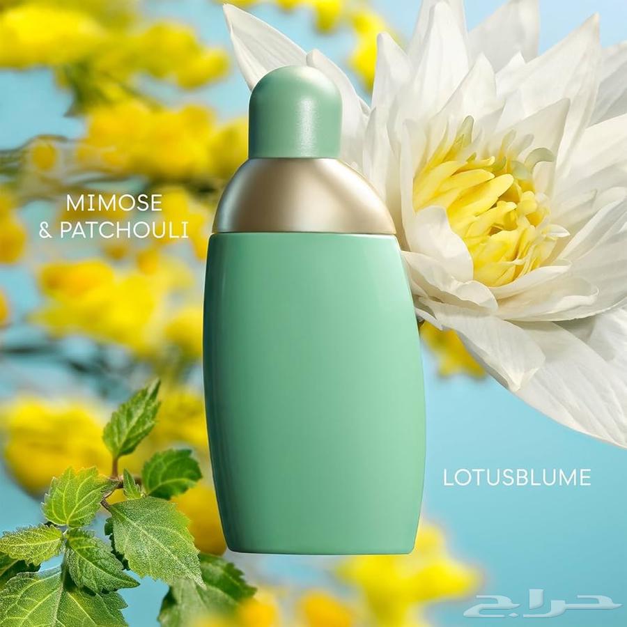 عطر ايدن الاخضر القديم64502167889921113