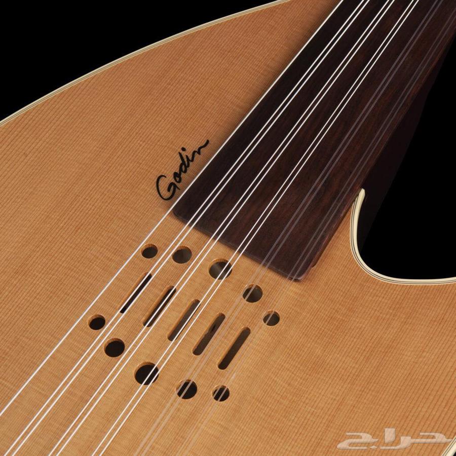 عود كندي كهربائي - Godin Multioud64500298303363111