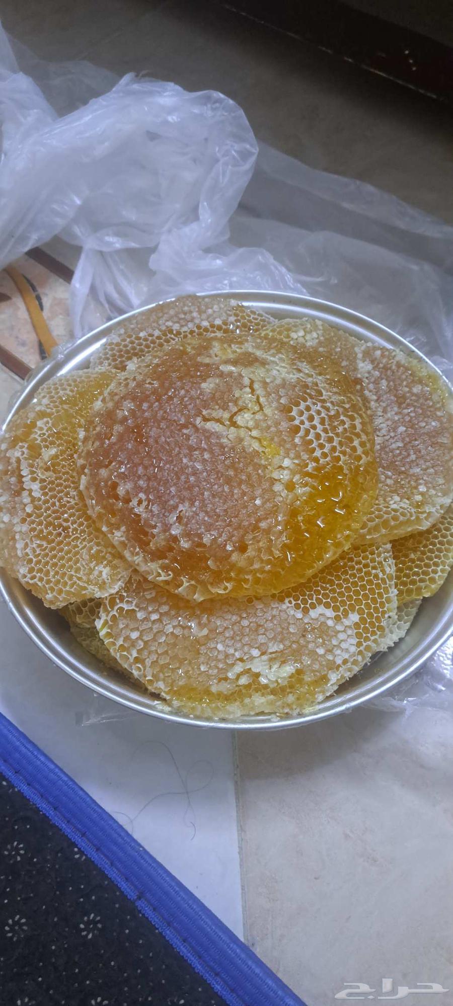 عسل سدر للبيع 5 كيلو64502680047746110