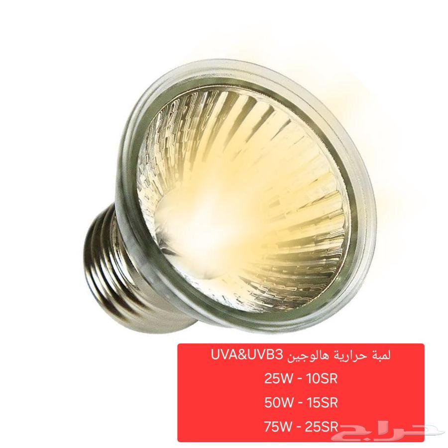 لمبات حرارية للحيوانات الاليفة64497096274691112