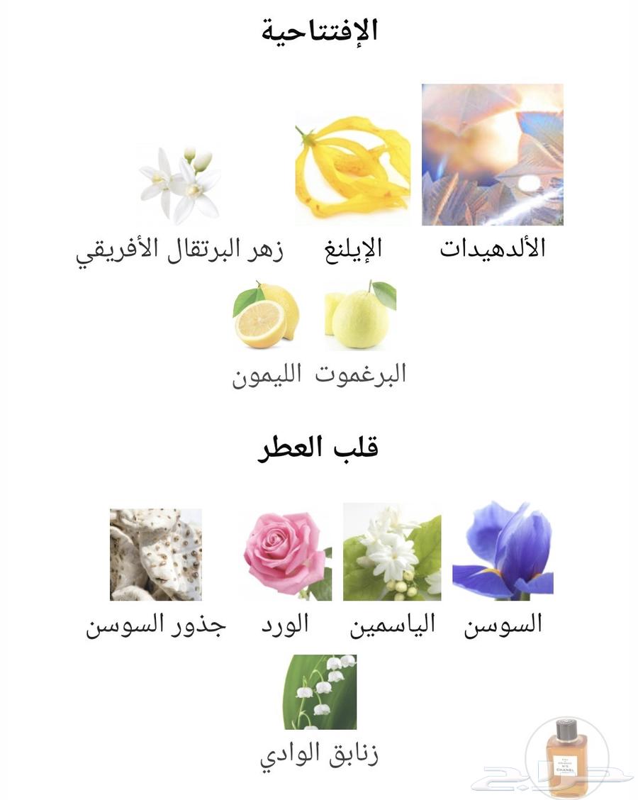 عطر شانيل 5 القديم من النوادر64500602630017114