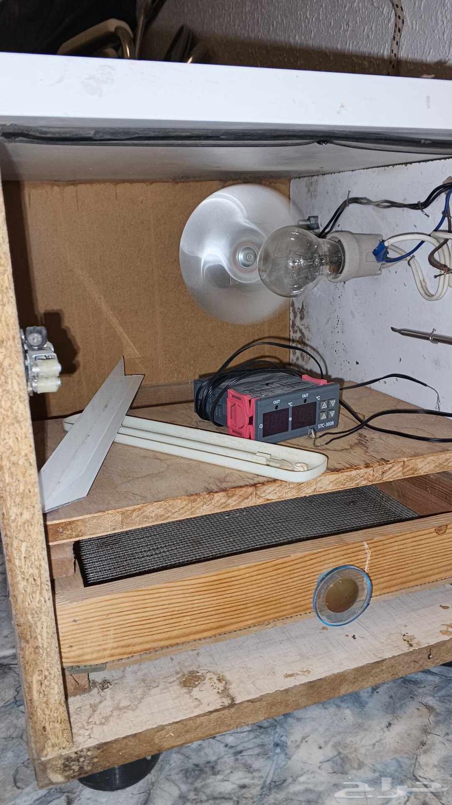 Incubator64500022377985112