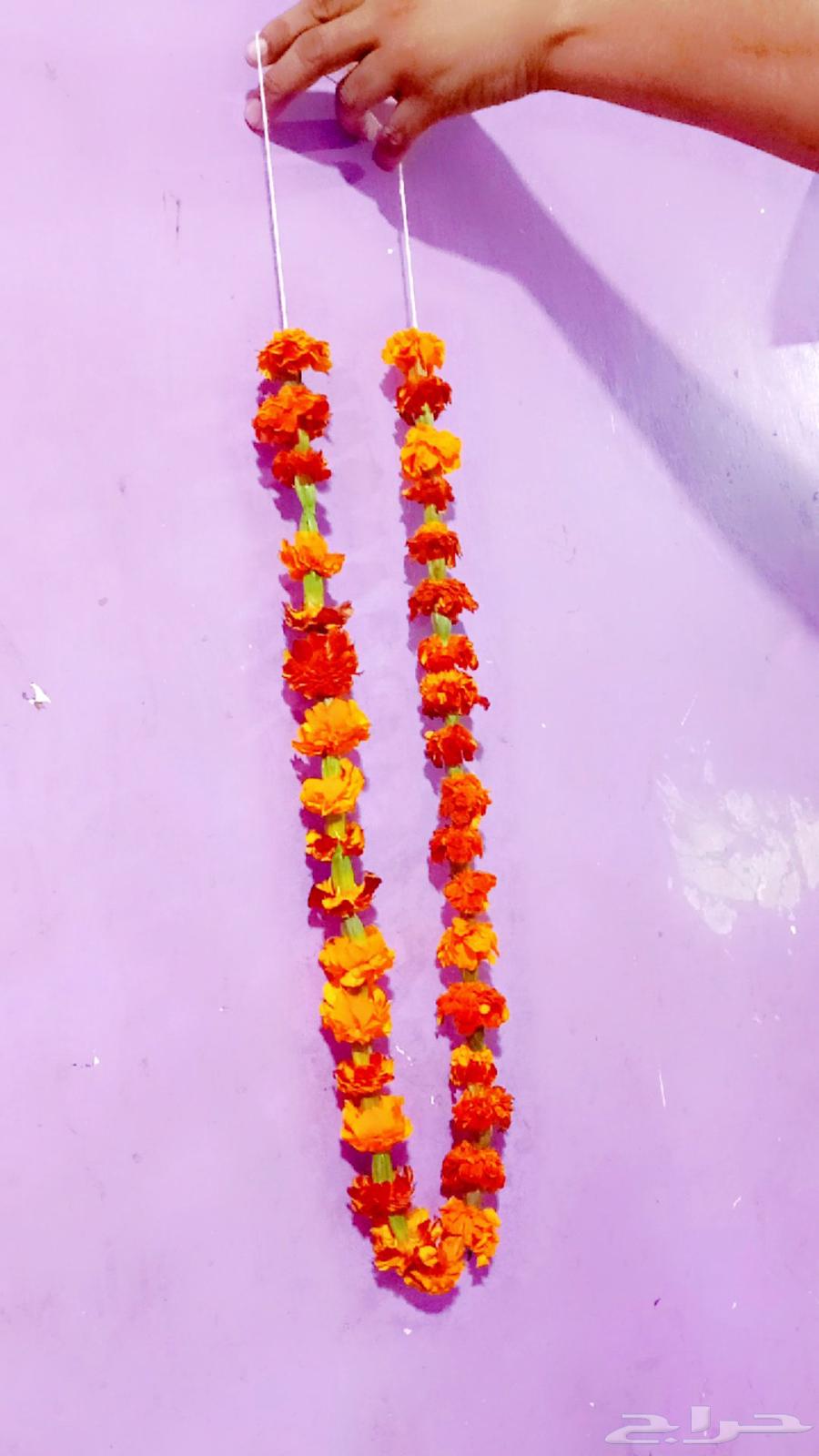 فل ورد الرياض64501716813698110