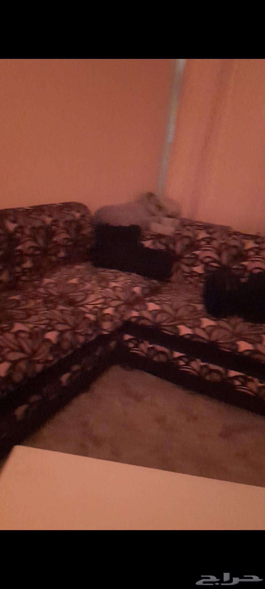 مجلس كبير للبيع تم تنزيل السعر لسرعة البيع بالشرايع مكه المك64499423113346111