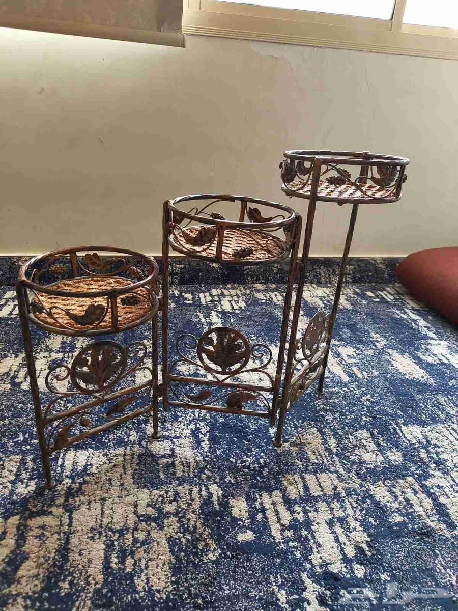 ارفف زينه64497262447745110