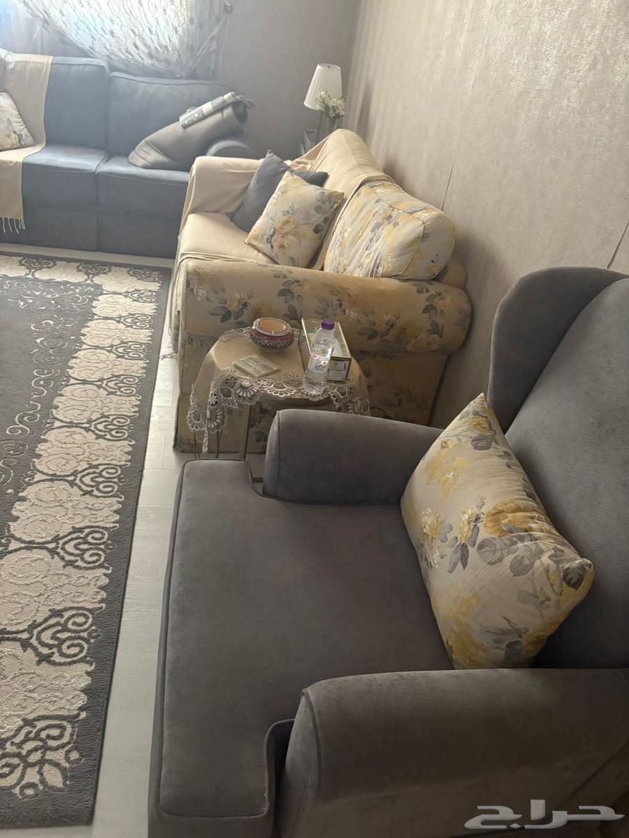 Clean sofa, simple use with accessories64502734688898110