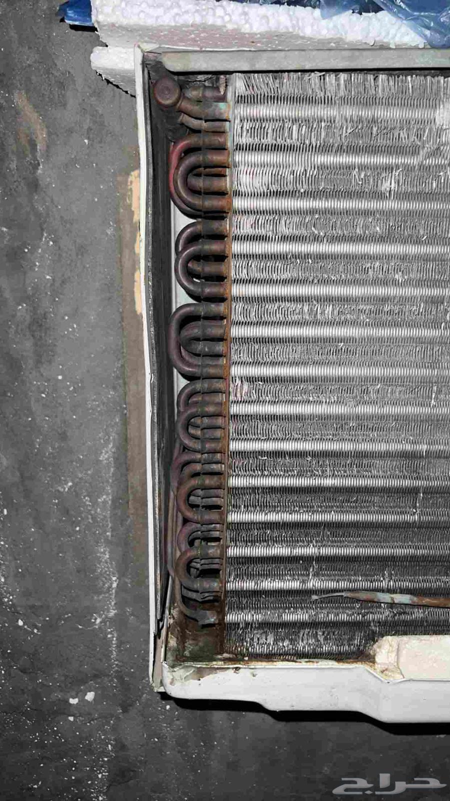 الزامل طنين راكب شغال64496613058050111