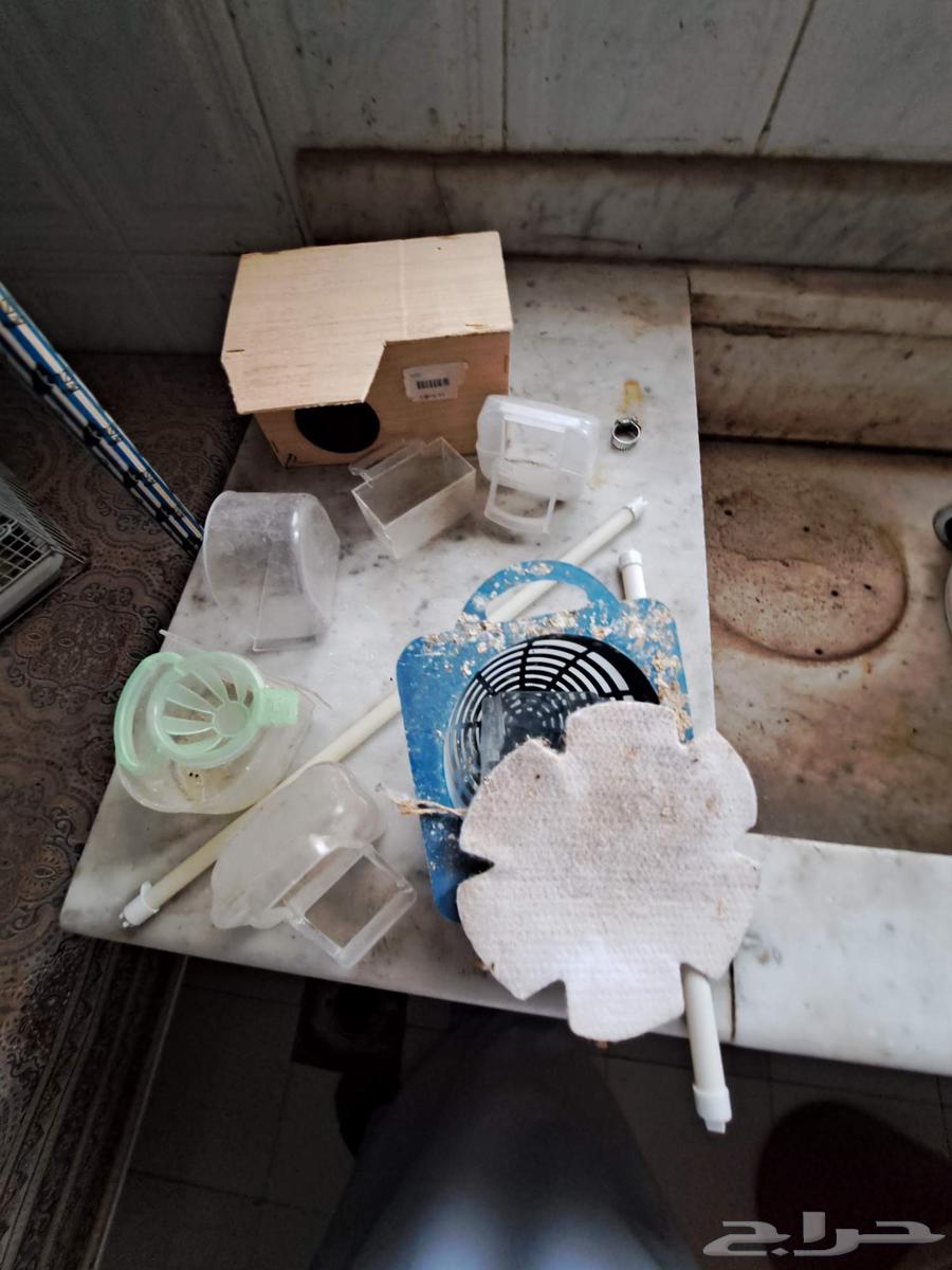 لدينا اقفاص للبيع64499270321282113