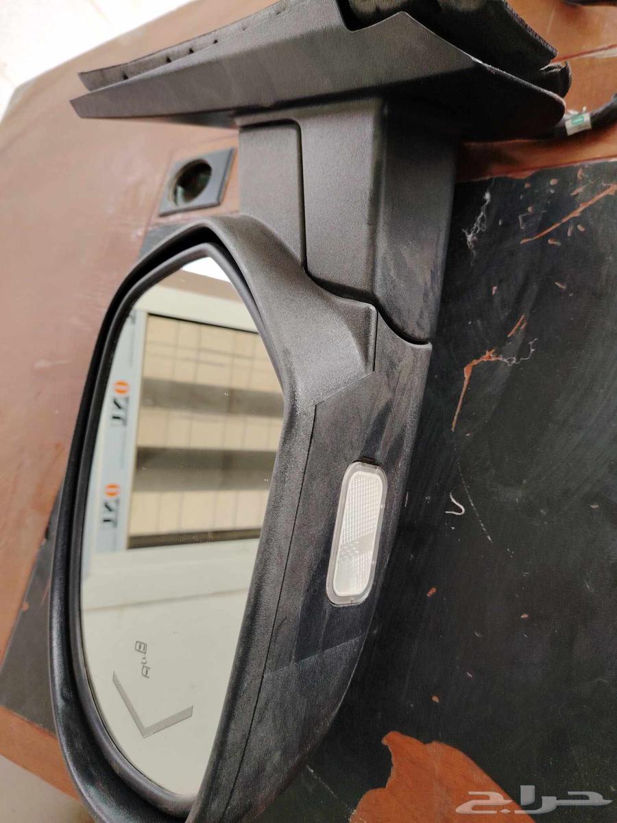 Platinum Skeleton Mirror with Blind Spot Detection64498312805379110