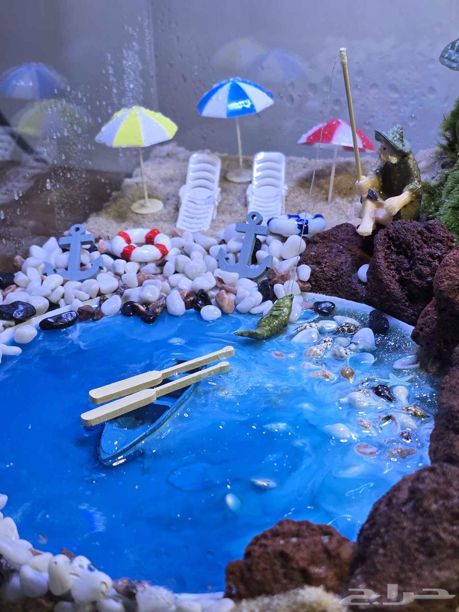 حوض نباتات طبيعية تيراريوم64496848122755113