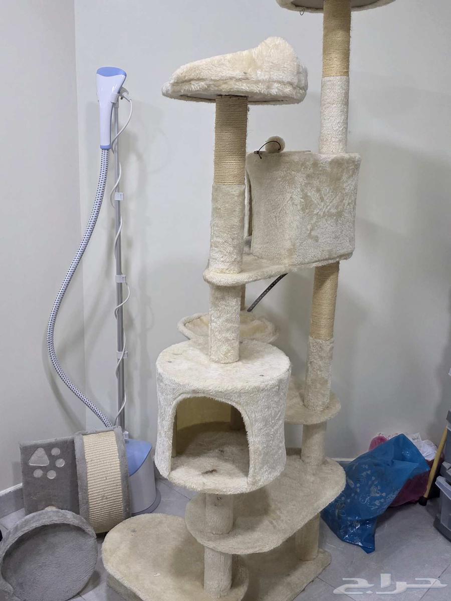 خدشة قطط للبيع64495913225089110