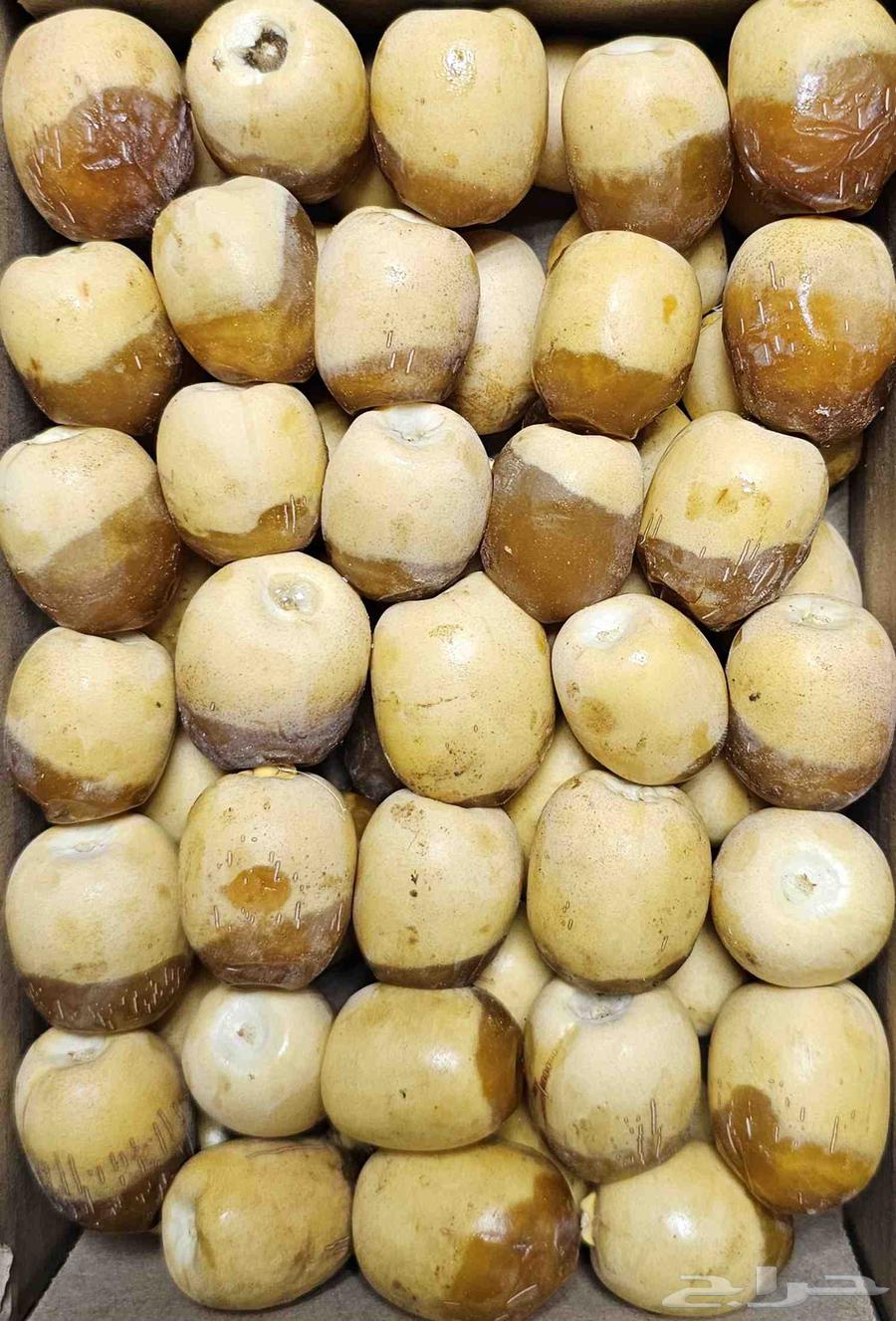 رطب هلالي الأحساء جملة64497344902914111