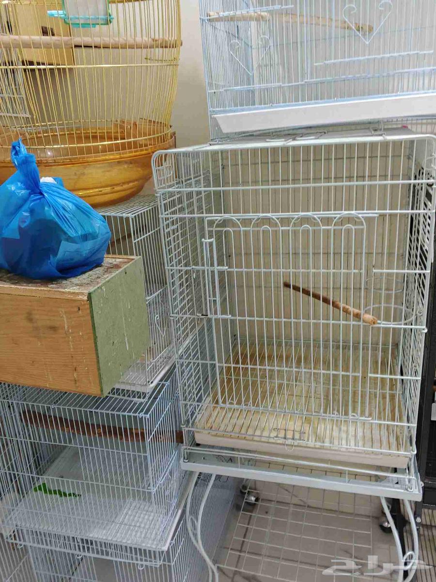 مجموعة اقفاص نضيفه للبيع64501668100994110