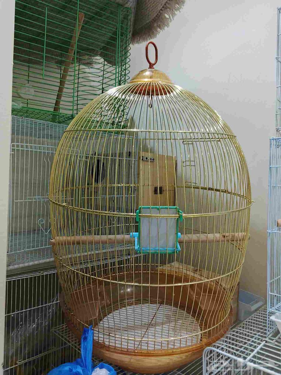 مجموعة اقفاص نضيفه للبيع64501668100994111